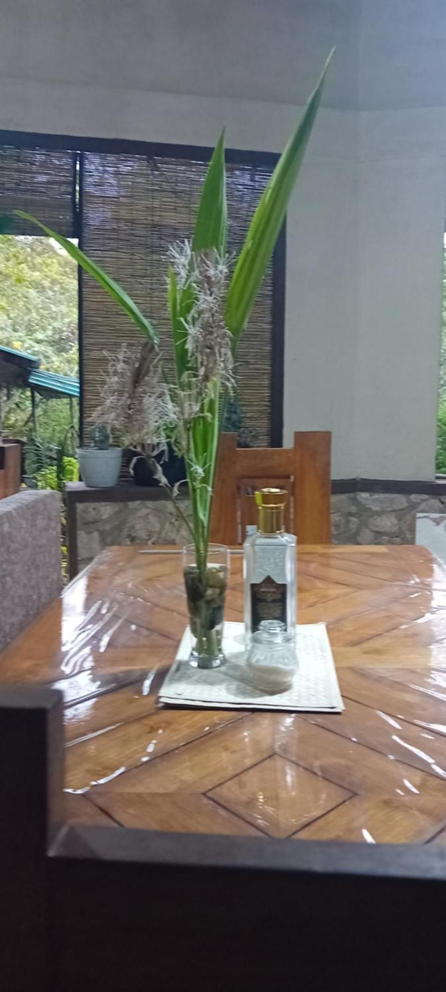 Ella Green Stay Szoba fotó